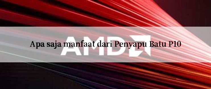 Apa saja manfaat dari Penyapu Batu P10