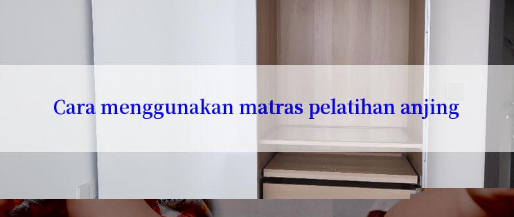 Cara menggunakan matras pelatihan anjing