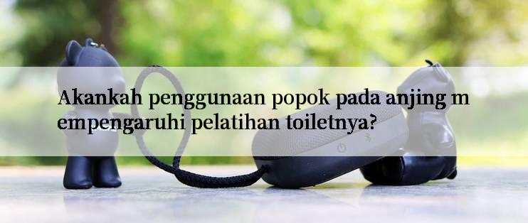 Akankah penggunaan popok pada anjing mempengaruhi pelatihan toiletnya?