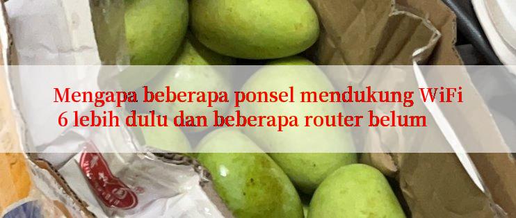 Mengapa beberapa ponsel mendukung WiFi 6 lebih dulu dan beberapa router belum