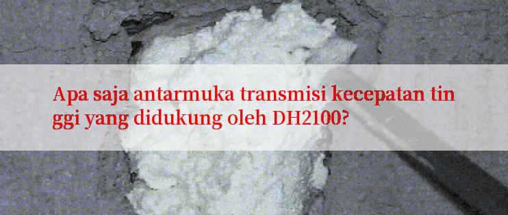 Apa saja antarmuka transmisi kecepatan tinggi yang didukung oleh DH2100?