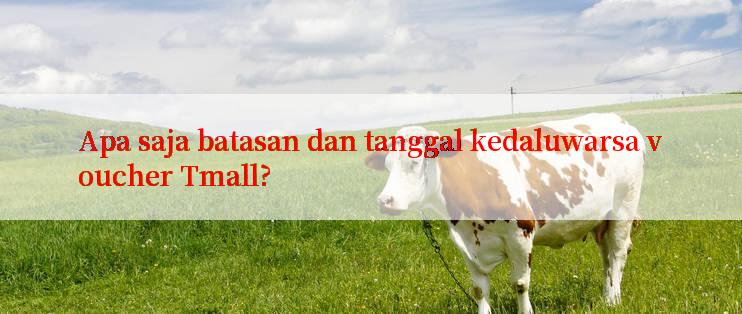 Apa saja batasan dan tanggal kedaluwarsa voucher Tmall?