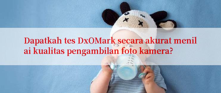 Dapatkah tes DxOMark secara akurat menilai kualitas pengambilan foto kamera?