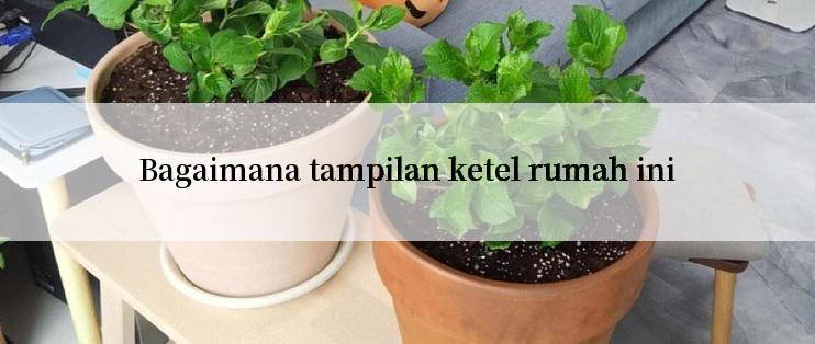 Bagaimana tampilan ketel rumah ini