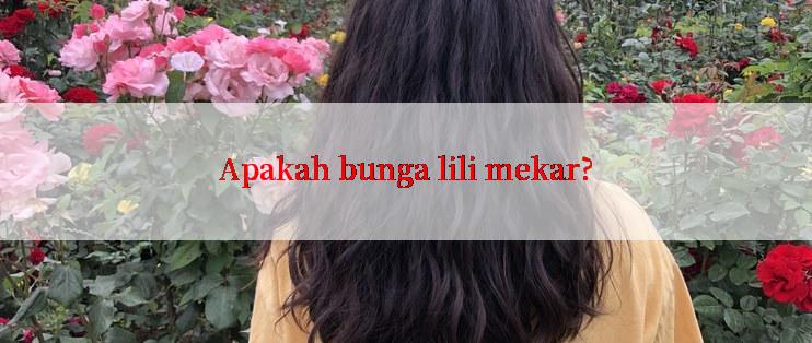 Apakah bunga lili mekar?