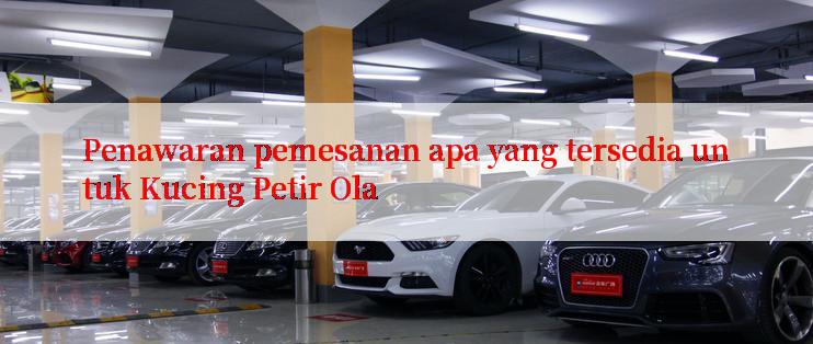 Penawaran pemesanan apa yang tersedia untuk Kucing Petir Ola