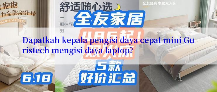 Dapatkah kepala pengisi daya cepat mini Guristech mengisi daya laptop?