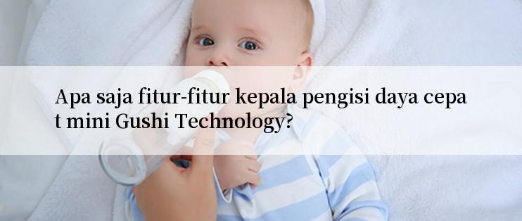 Apa saja fitur-fitur kepala pengisi daya cepat mini Gushi Technology?