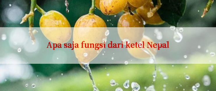 Apa saja fungsi dari ketel Nepal