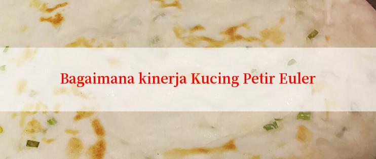 Bagaimana kinerja Kucing Petir Euler