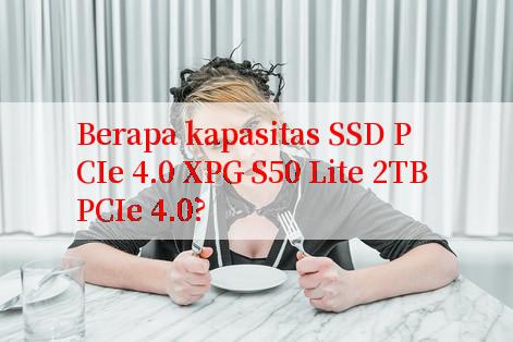 Berapa kapasitas SSD PCIe 4.0 XPG S50 Lite 2TB PCIe 4.0?