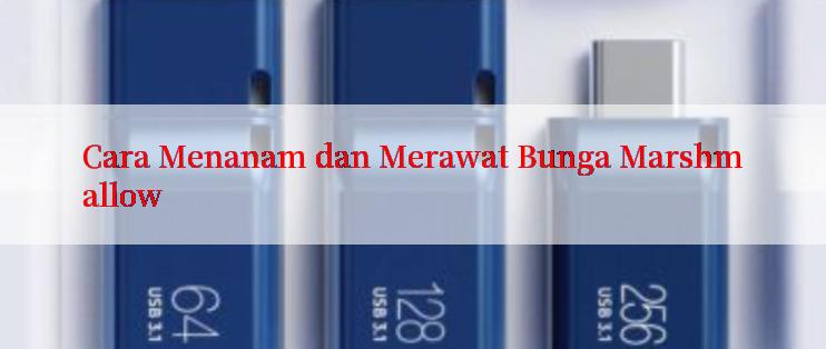 Cara Menanam dan Merawat Bunga Marshmallow