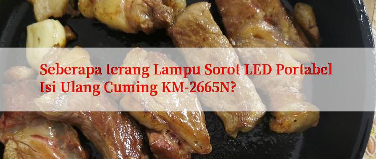 Seberapa terang Lampu Sorot LED Portabel Isi Ulang Cuming KM-2665N?