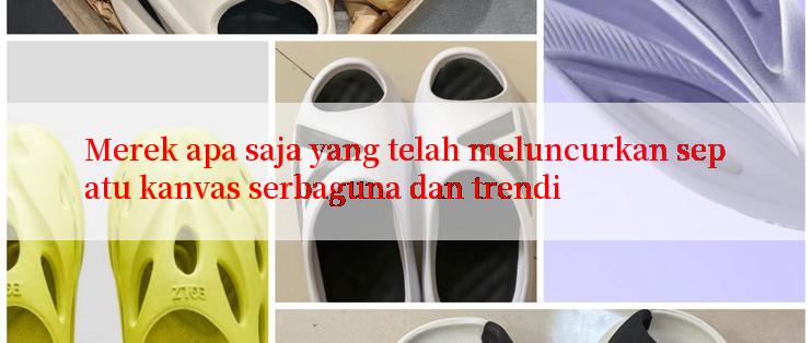 Merek apa saja yang telah meluncurkan sepatu kanvas serbaguna dan trendi