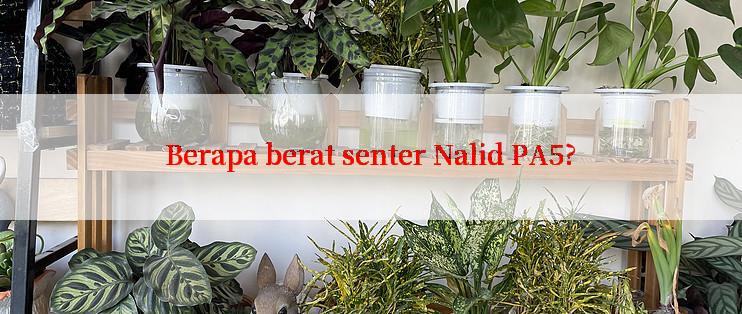 Berapa berat senter Nalid PA5?