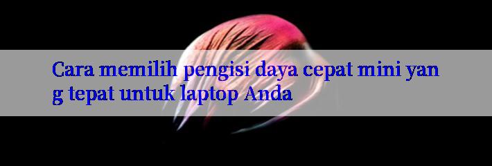 Cara memilih pengisi daya cepat mini yang tepat untuk laptop Anda