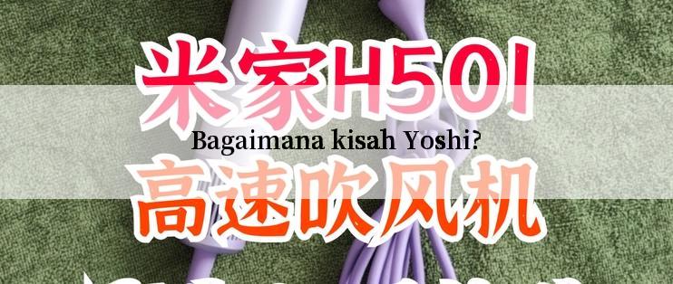 Bagaimana kisah Yoshi?