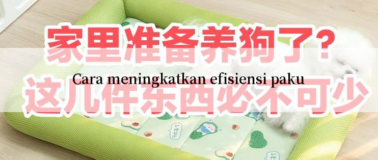 Cara meningkatkan efisiensi paku