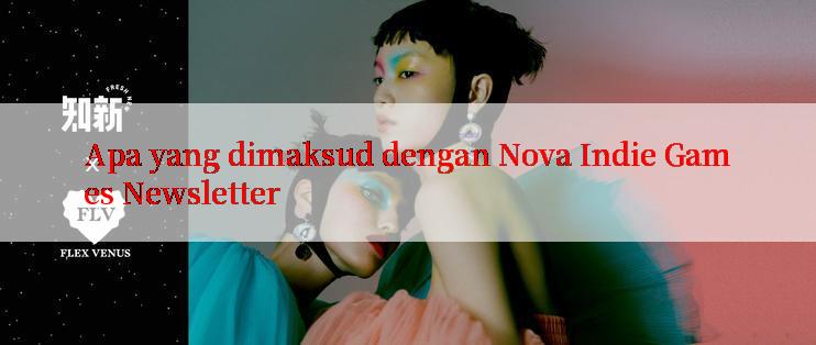 Apa yang dimaksud dengan Nova Indie Games Newsletter