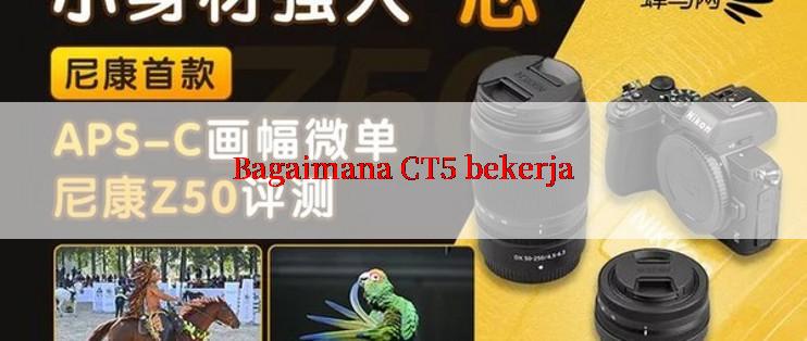 Bagaimana CT5 bekerja