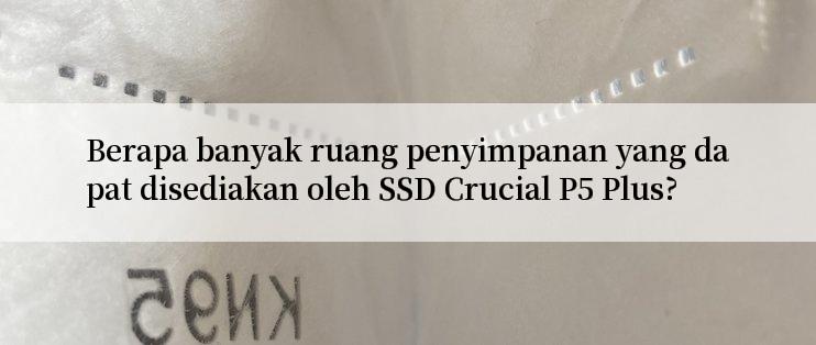 Berapa banyak ruang penyimpanan yang dapat disediakan oleh SSD Crucial P5 Plus?