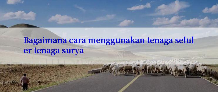 Bagaimana cara menggunakan tenaga seluler tenaga surya