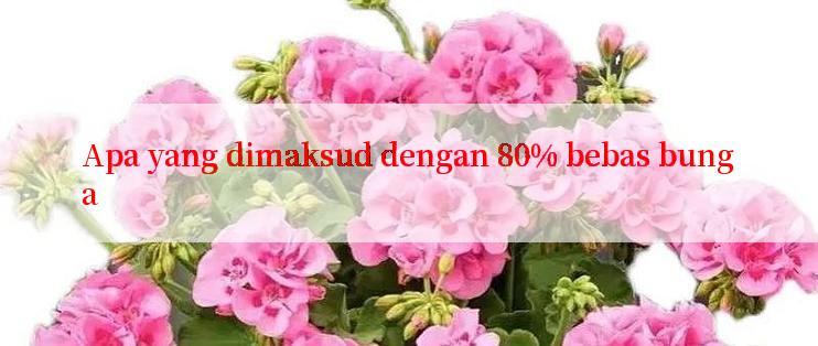 Apa yang dimaksud dengan 80% bebas bunga