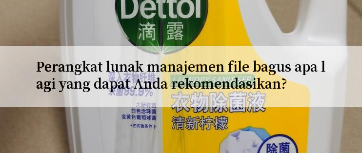 Perangkat lunak manajemen file bagus apa lagi yang dapat Anda rekomendasikan?