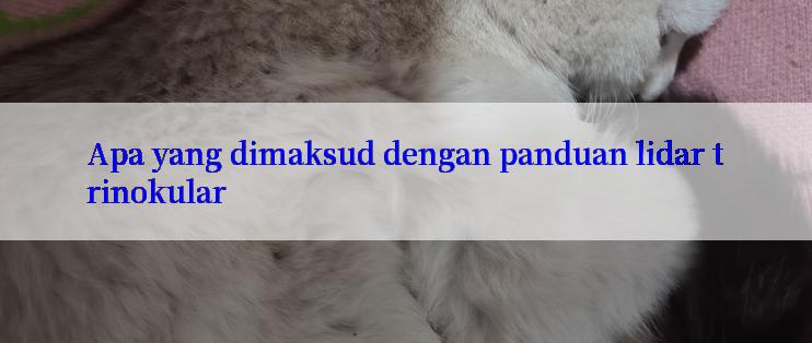 Apa yang dimaksud dengan panduan lidar trinokular