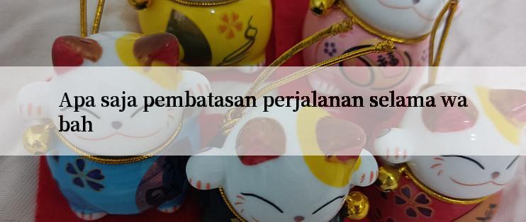 Apa saja pembatasan perjalanan selama wabah