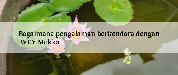 Bagaimana pengalaman berkendara dengan WEY Mokka