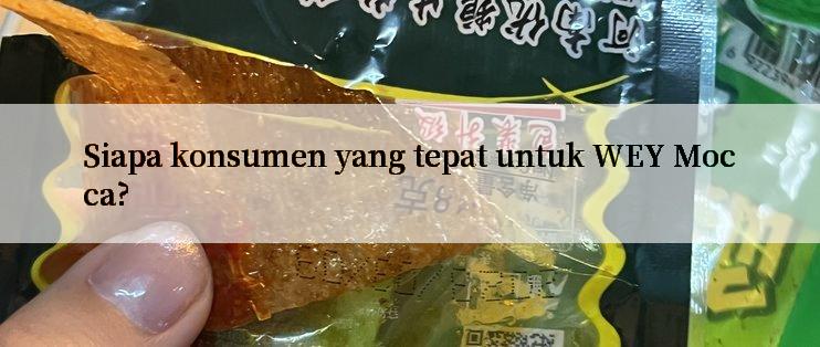 Siapa konsumen yang tepat untuk WEY Mocca?