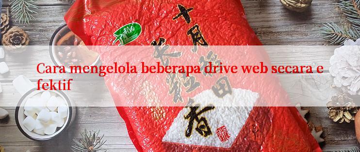 Cara mengelola beberapa drive web secara efektif