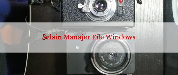 Selain Manajer File Windows