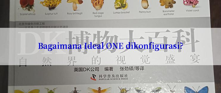 Bagaimana Ideal ONE dikonfigurasi?