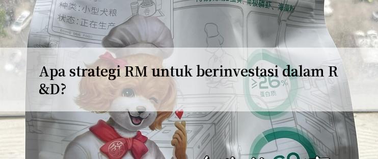 Apa strategi RM untuk berinvestasi dalam R&D?