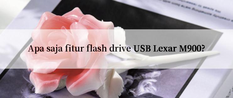 Apa saja fitur flash drive USB Lexar M900?