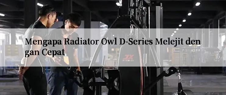 Mengapa Radiator Owl D-Series Melejit dengan Cepat