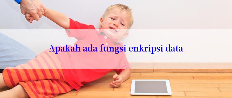 Apakah ada fungsi enkripsi data