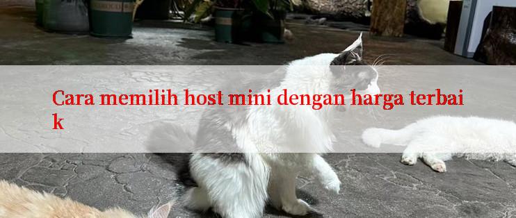 Cara memilih host mini dengan harga terbaik