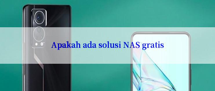 Apakah ada solusi NAS gratis