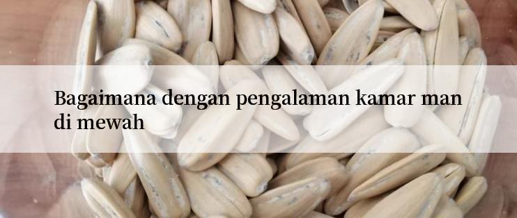 Bagaimana dengan pengalaman kamar mandi mewah