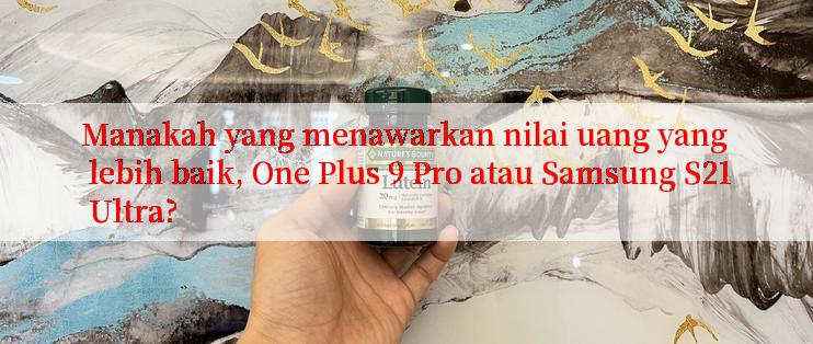 Manakah yang menawarkan nilai uang yang lebih baik, One Plus 9 Pro atau Samsung S21 Ultra?