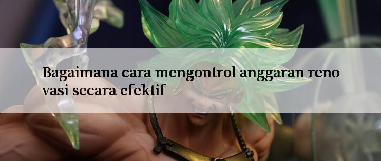 Bagaimana cara mengontrol anggaran renovasi secara efektif