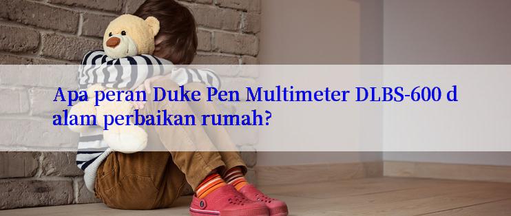 Apa peran Duke Pen Multimeter DLBS-600 dalam perbaikan rumah?