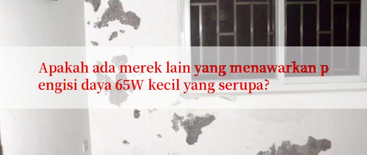 Apakah ada merek lain yang menawarkan pengisi daya 65W kecil yang serupa?