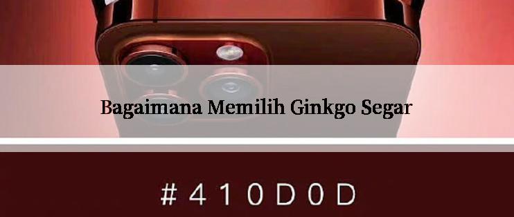 Bagaimana Memilih Ginkgo Segar