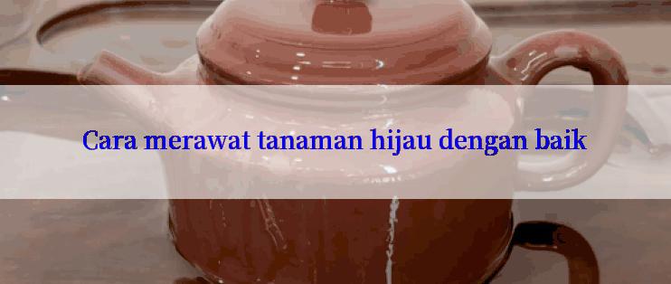 Cara merawat tanaman hijau dengan baik