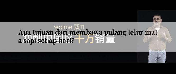 Apa tujuan dari membawa pulang telur mata sapi setiap hari?