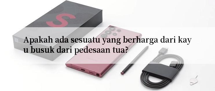 Apakah ada sesuatu yang berharga dari kayu busuk dari pedesaan tua?